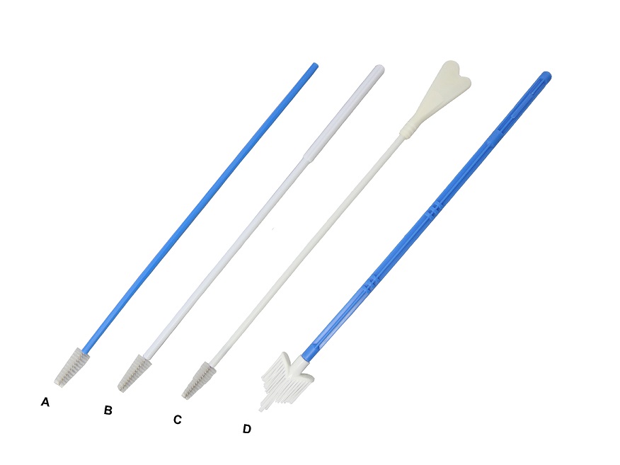 Gynecological Exam cervical brush for cell collection.