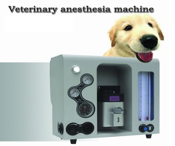 Veterianry Anesthesia Machine for vet