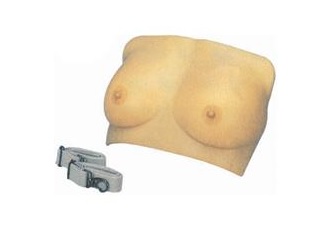 Breast Examination Simulator