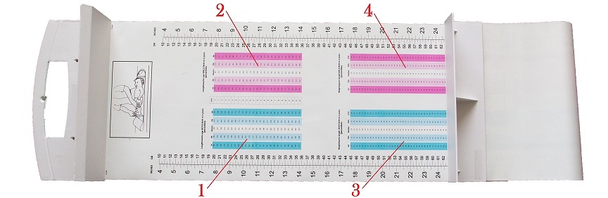 Colored Baby height ruler tape